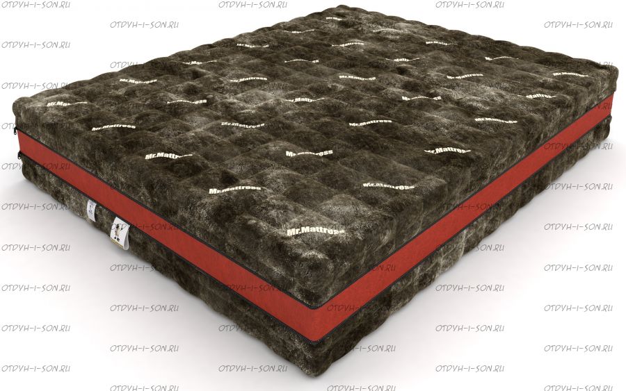 Матрас Capriccio Mr.Mattress (25)
