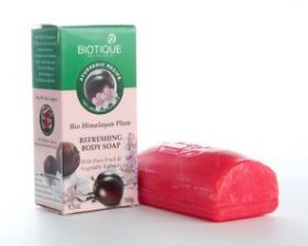 Мыло с гималайской сливой (Bio Himalayan Plum, BIOTIQUE), 150г
