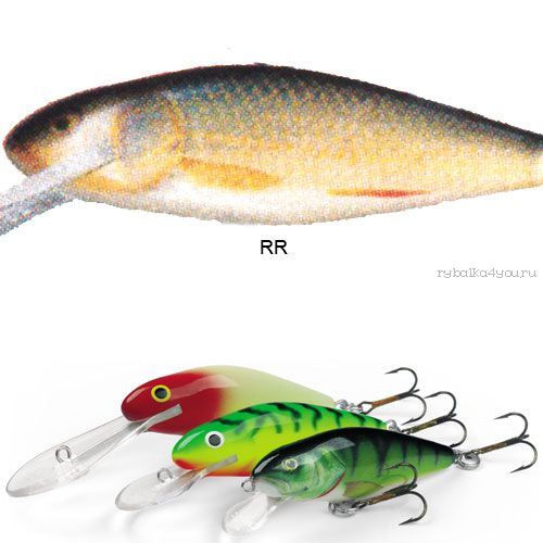 Воблер Salmo PERCH DR 80 цвет RR / до 2,5 м