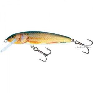 Воблер Salmo MINNOW S 60 цвет RR / до 1,5 м