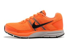 Кроссовки Nike Air Pegasus+ 29