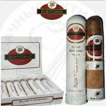 Flor de Copan Short Robusto Tube *21