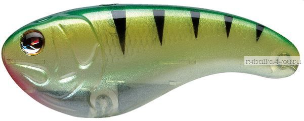 Воблер Sebile FLATT SHAD 54mm / 10гр /  дo 0.6m цвет NK2