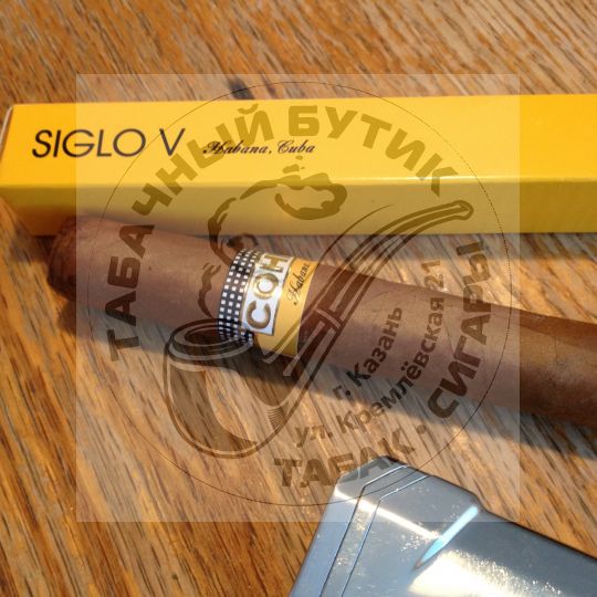 COHIBA SIGLO V