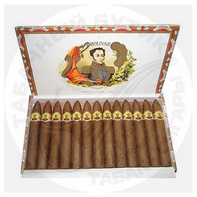 BOLIVAR BELICOSOS FINOS