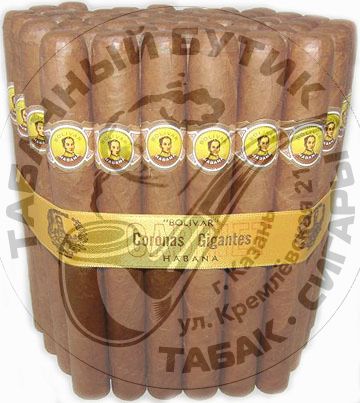 BOLIVAR CORONAS GIGANTES