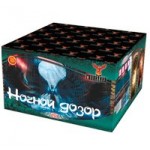 Ночной дозор