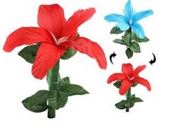 Изменение цвета  лилии -  Quick Color Changing Flowers
