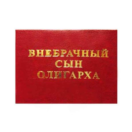 Удостоверение "Внебрачный сын олигарха"