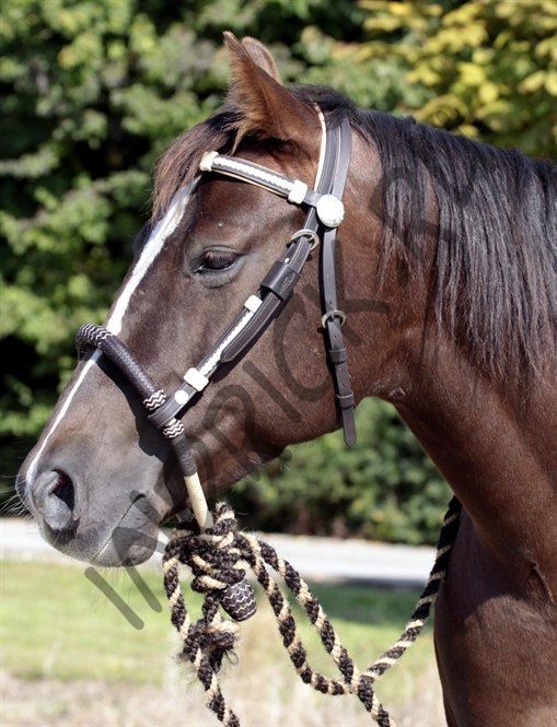 Оголовье Barefoot Oaklet