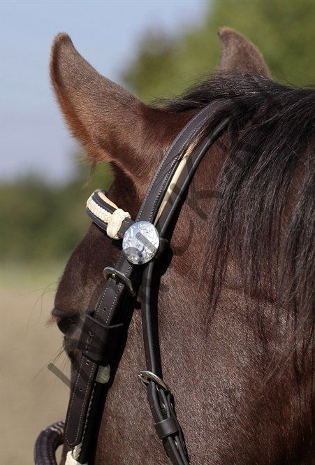 Оголовье Barefoot Oaklet