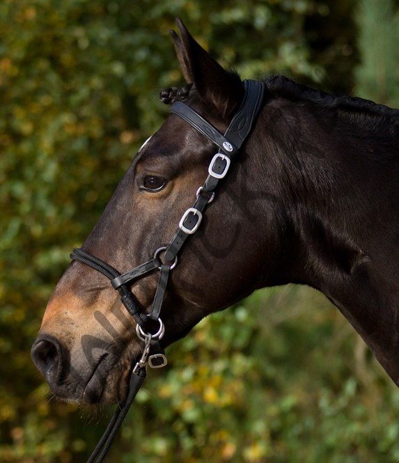 Беcтрензельная уздечка Barefoot Syringa с поводом