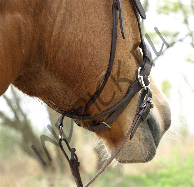 Беcтрензельная уздечка Barefoot Walnut