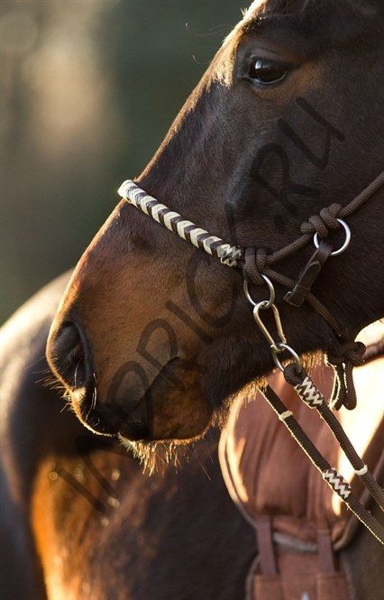 Веревочное оголовье-недоуздок  Seneca 3 в 1