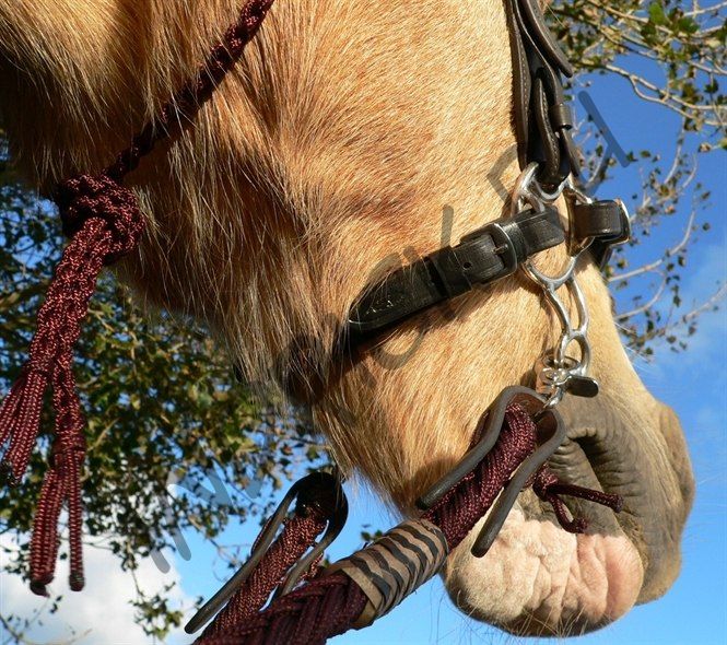 Подбородный ремешок для хакаморы с эластичной вставкой