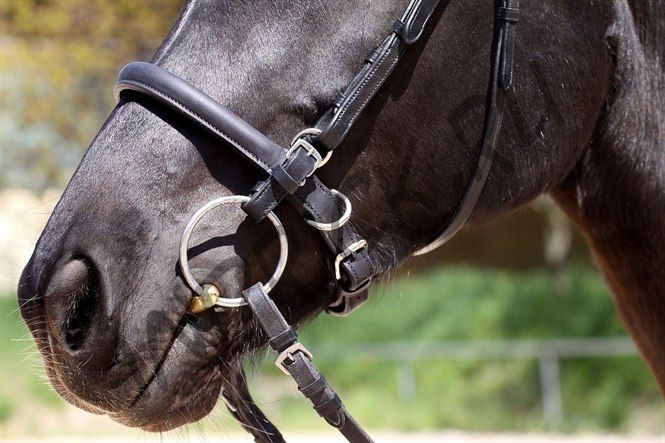 Капсуль Barefoot® "Shape-it"