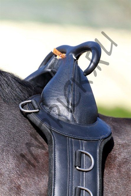 Гурта Save-My-Spine, со вставкой для начального тренинга и иппотерапии