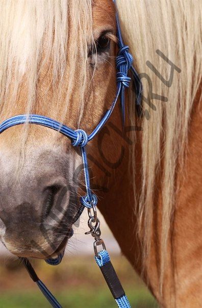 Веревочное оголовье-недоуздок BeGentle 2 в 1