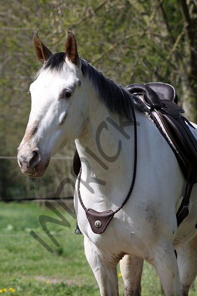 Кордео Barefoot® Communication