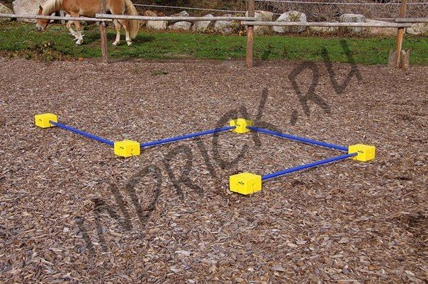 Аджилити-жердь