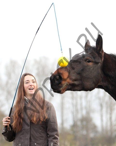 Тренировочный стек 4 в 1 (короткий бич, длинный бич, мячик, колокольчик)