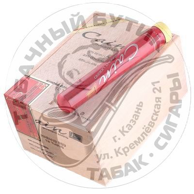 Cain F Robusto Tubos*12