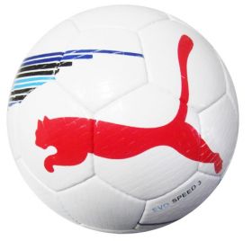 Мяч футбольный Puma №5 EVO Speed 3