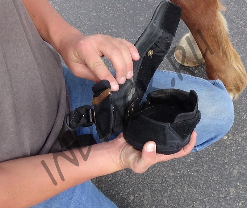 Ботинок для копыт Easyboot Trail New