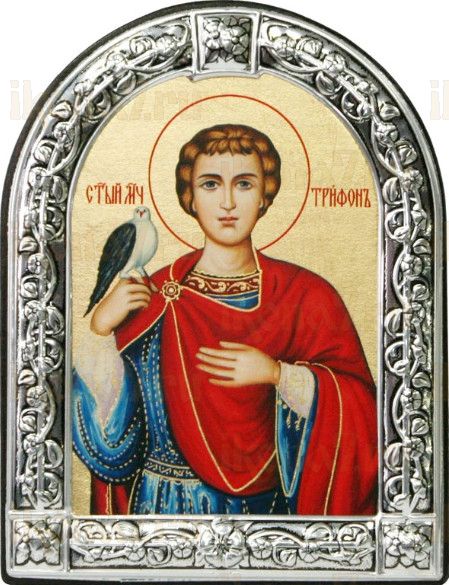 Трифон Апамейский (10х13)
