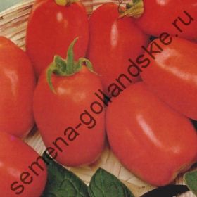 Томат "ВЕНТУРА" (Ventura)  10 семян