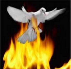 Dove&Fire Book Огненная книга