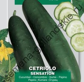 Огурец "СЕНСАЦИЯ" (Sensation) 10 семян