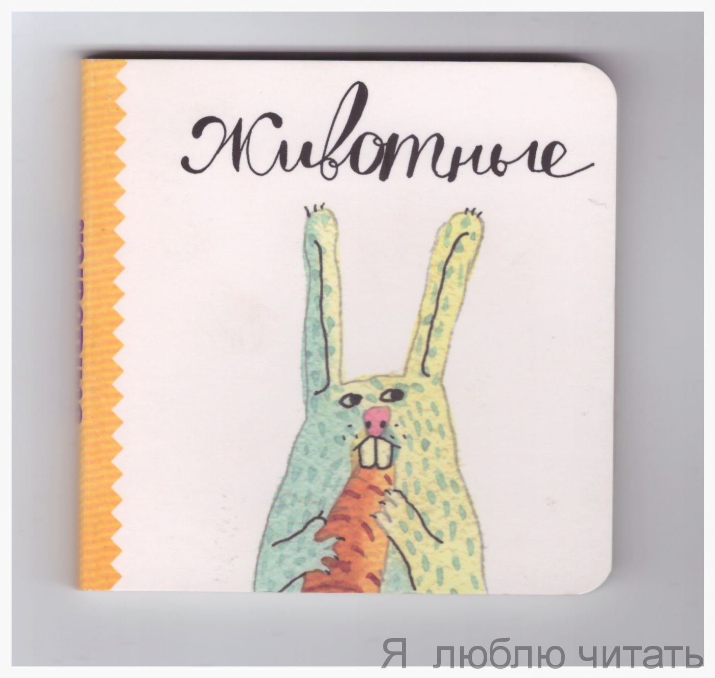 Животные