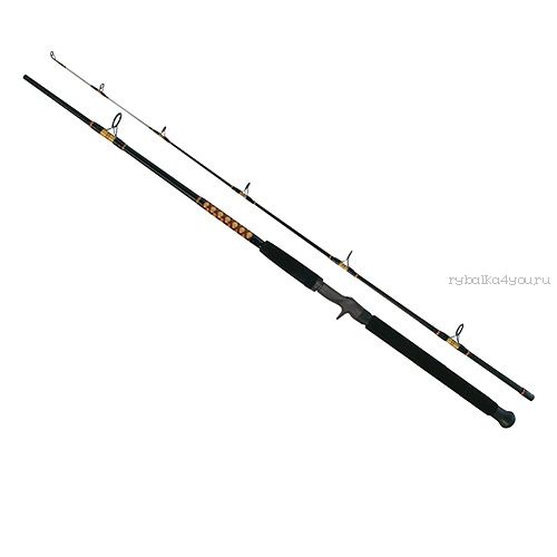 Спиннинг Salmo Power Stick Trolling Cast 2.4 м /тест 50-100гр (2405-240)