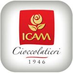 Icam (Италия)