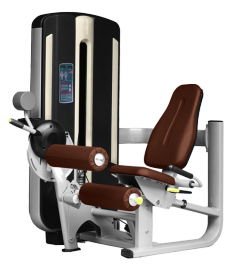 Сгибание ног сидя Bronze Gym MNM-013