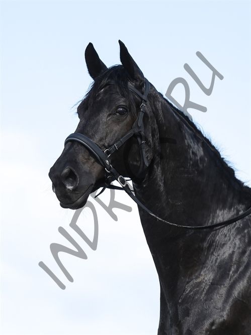 Капсуль Barefoot Shape-It Soft