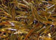 Салат из морской капусты Моряна ведро 3 кг