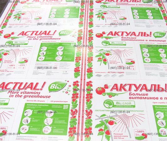 Сотовый поликарбонат для теплиц Актуаль! BIO 4 мм 2100 х 6000 прозрачный