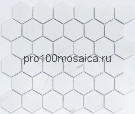 PS5159-12. Мозаика СОТЫ, серия PORCELAIN,  размер, мм: 325*281*5 (NS Mosaic)