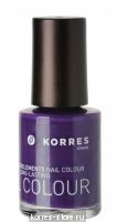 Purple Sea Anemone 78