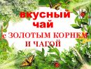 Травяной чай " Золотой Алтай" с золотым корнем и чагой 135гр