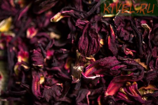 Каркадэ (Королевский гибискус)