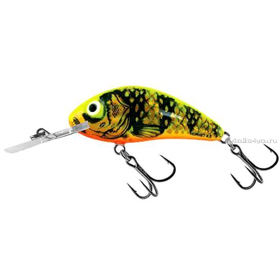 Воблер Salmo Hornet Rattlin 45F 45 мм/ 6 гр/ Заглубление: 1,8 - 3,5 м /цвет: GFP