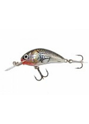 Воблер Salmo Hornet 40SDR 40 мм /3,8 гр/ Заглубление: 2,5-4 м / цвет:HGS