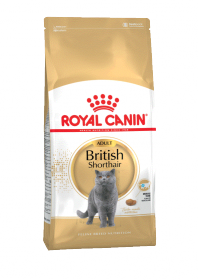 British shorthair 4 кг