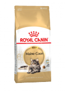 Maine coon 10кг