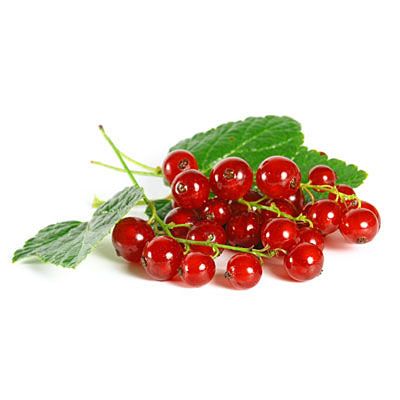 Смородина красная 0,5 кг