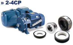 Торцевое уплотнение к насосу Pedrollo 4SR15/24