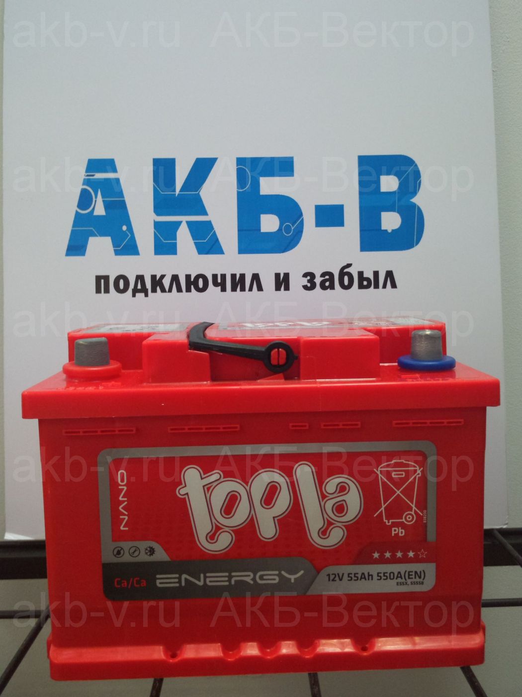 АКБ Topla Energy 55Ач 500А(EN) низкий (23г)